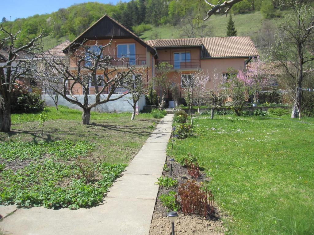 Pensiunea Sighişoara Exterior foto
